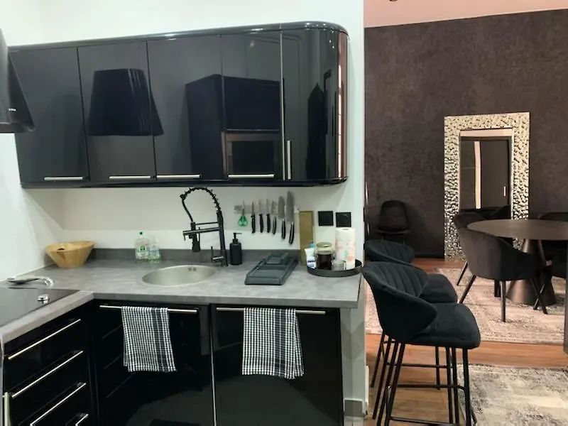 Paris Incredible Olympic Nest Apartment France